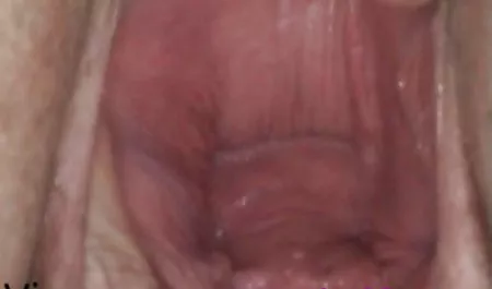 لدي سيطرة كاملة افلام سكس عربي كبار من الديك ،