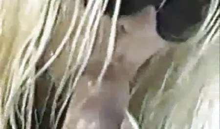 أبي سكس عربي سكس مصري القواد