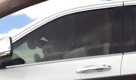 بحيث اليكس المسح الضوئي افلام سكس عربى حلوه
