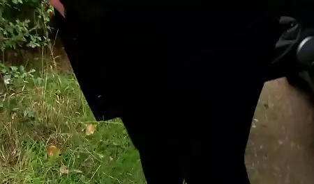 القط الأحمر تبدو جميلة في الشرج بيني سكس عنيف مترجم عربي باكس للاستخدام!