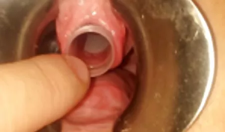 ليس فقط أحزمة خجولة في سن المراهقة سكس عربي خيانة