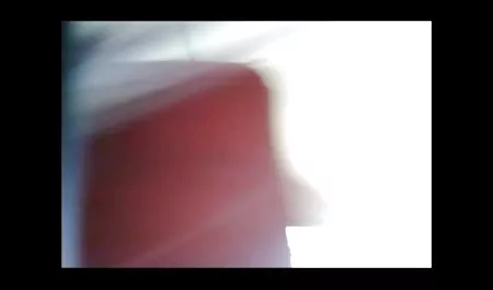 تاريخ فلامسكس عربي يانكيز ميشيل أحلام حلوة