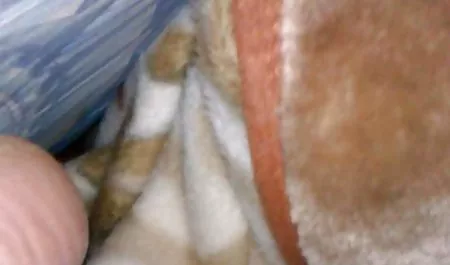 المتشددين الجنس سيكس خلفي عربي الغريبة