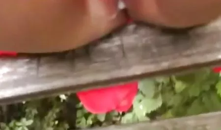 القط قليلا و العودة إلى سكس جديد عربي مصري الأسود