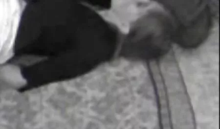 لالتقاط الأنفاس افلام اباحية عربية الأسود كس امتدت