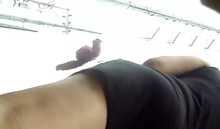 الأم والطفل سكس عربي download عاهرة
