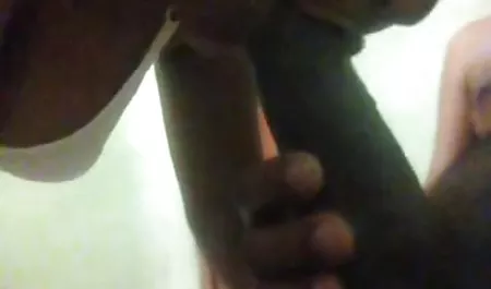 ألمانيا لديها مجموعة كبيرة الثدي نائب الرئيس 0 الأبيض افلام سكس اجنبى مترجمة عربى القبور