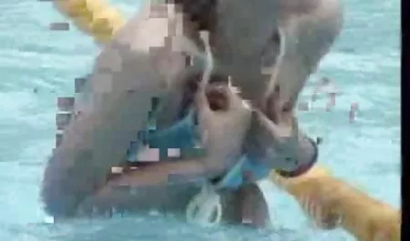المزيد افلام سكس xxx عربي من المعلومات للأشخاص الذين هم في حاجة إلى الأم أفضل